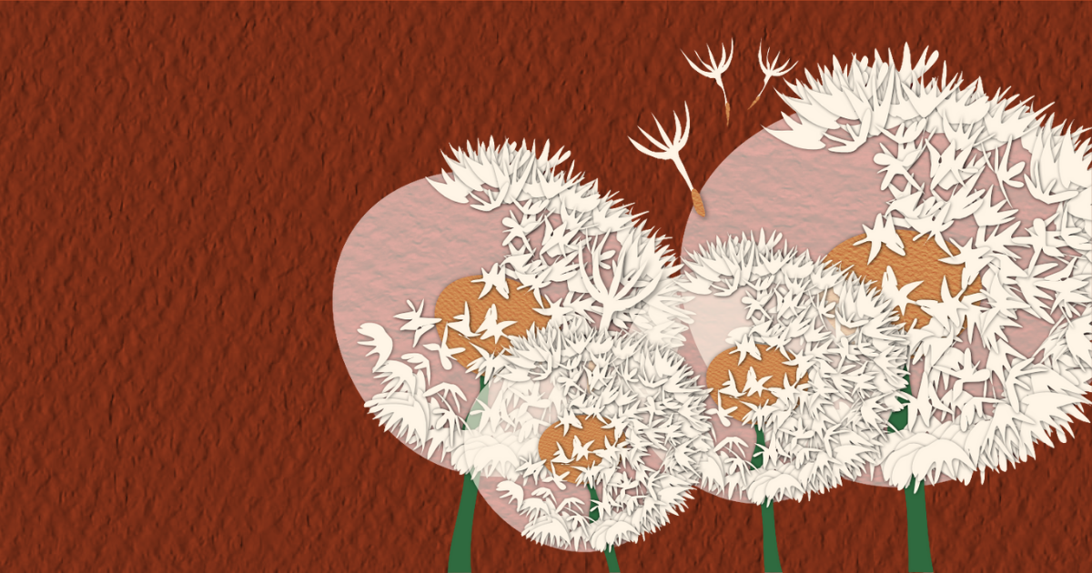 An illustration of dandelions
