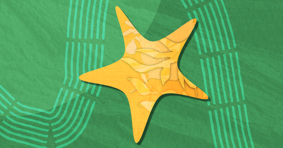 Star Blog Post Image