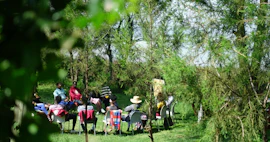 A group of people sat in a circle of chairs surrounded by trees