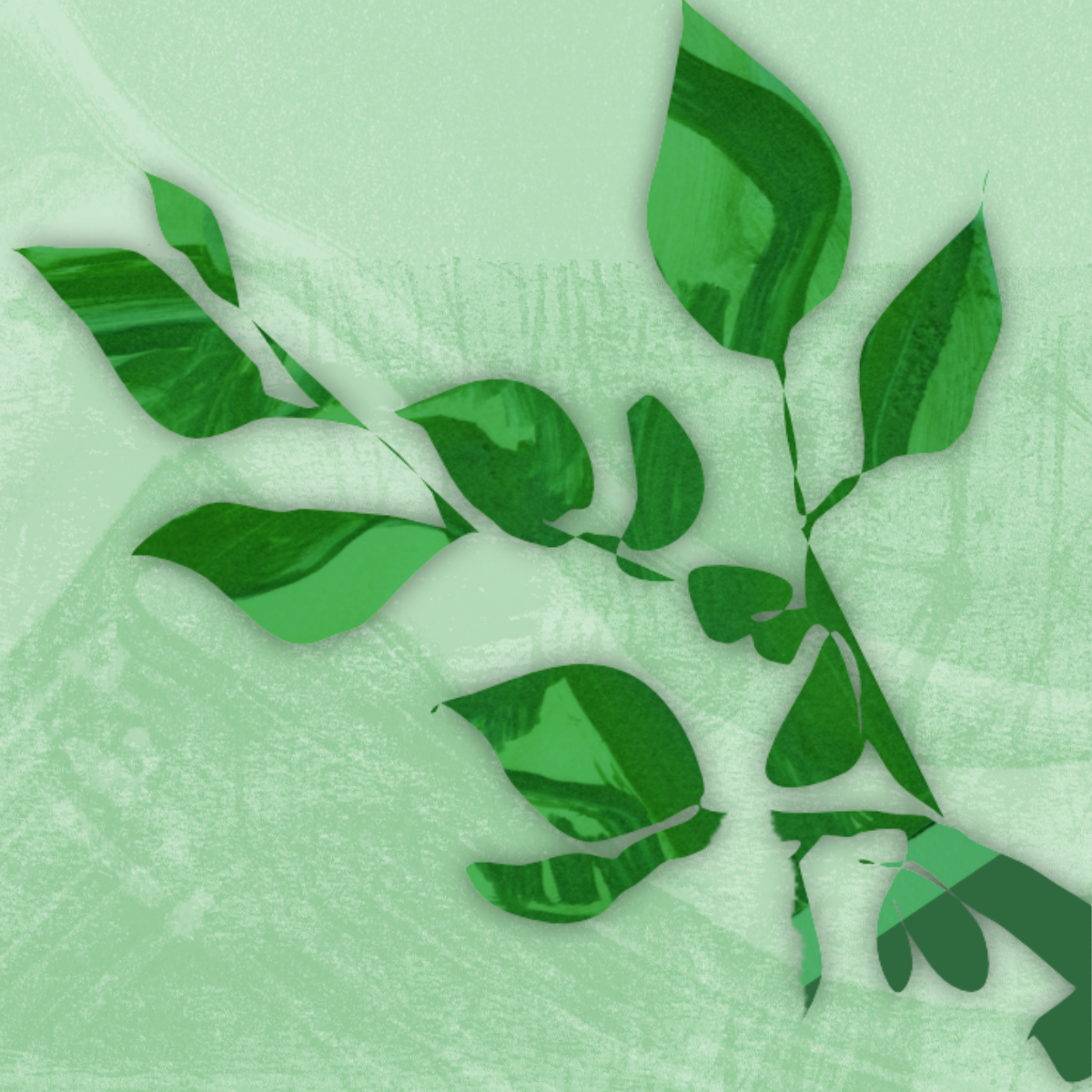 Emotional Resilience and The Rights of Nature
